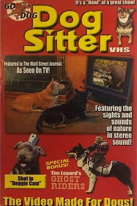    Steve Cantin has assembled a variety of sights and sounds intended to entertain dogs.  
